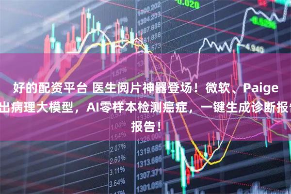 好的配资平台 医生阅片神器登场！微软、Paige推出病理大模型，AI零样本检测癌症，一键生成诊断报告！