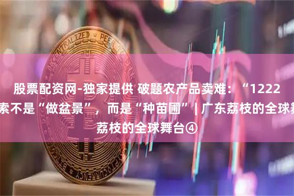 股票配资网-独家提供 破题农产品卖难：“12221”探索不是“做盆景”，而是“种苗圃” | 广东荔枝的全球舞台④